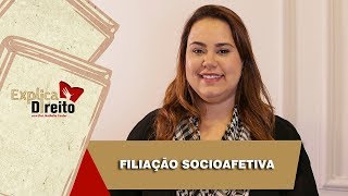 Explica Direito Filiação Socioafetiva  2019 [upl. by Reinhart93]