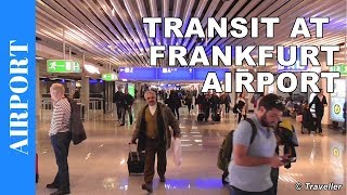 TRANSIT WALK AT FRANKFURT Airport FRA Terminal 1  Connection Flight Transfer Arriving amp Departing [upl. by Groeg780]